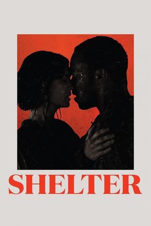Shelter's poster