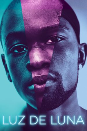 Moonlight's poster