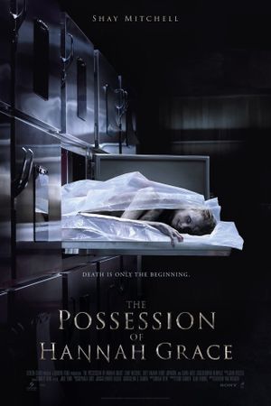 The Possession of Hannah Grace's poster