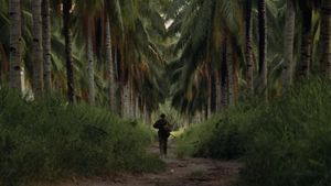 The Thin Red Line's poster