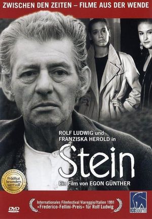 Stein's poster