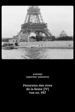 Panorama des rives de la Seine, IV's poster