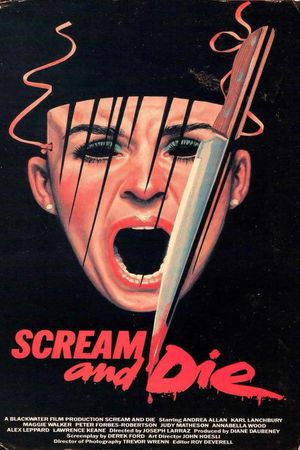 The House That Vanished's poster