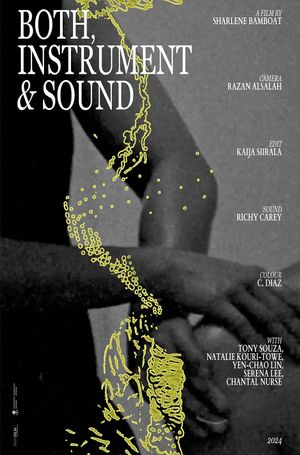 Both, Instrument & Sound's poster