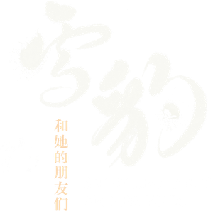 Snow Leopards and Friends's poster