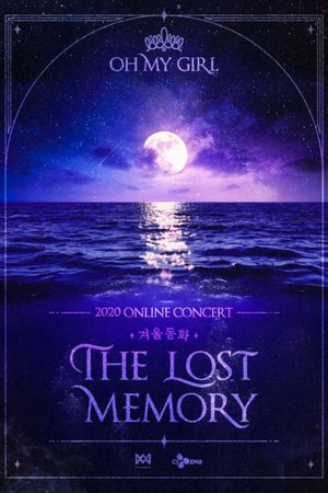 Winter Fairy Tales: The Lost Memory's poster image