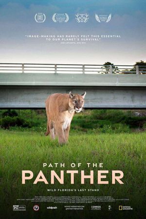 Path of the Panther's poster