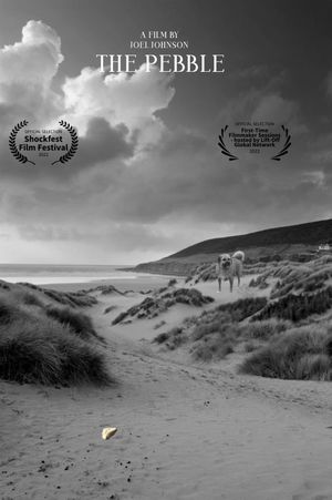 The Pebble's poster
