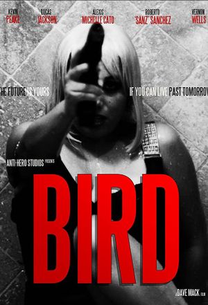 Bird's poster