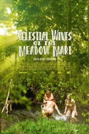 Celestial Wives of the Meadow Mari's poster