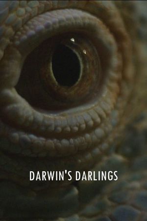 Darwin's Darlings's poster image