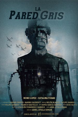 La pared gris's poster image