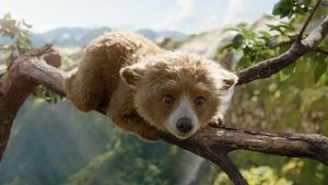 Paddington in Peru's poster