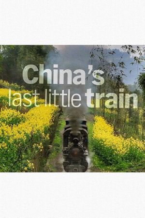 The Last Little Train in China's poster