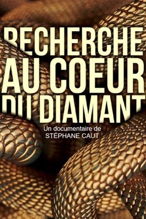 Recherche au coeur du Diamant's poster