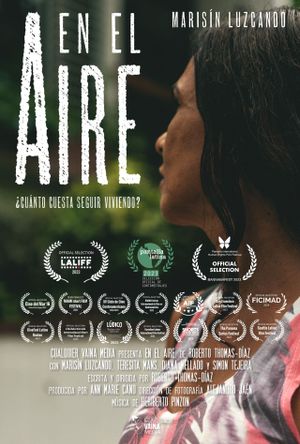 Clinging to Air's poster