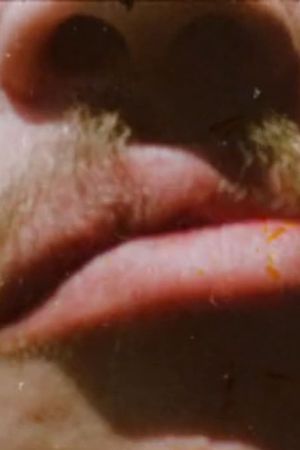 Invocations of Canyons and Boulders (for Stan Brakhage)'s poster