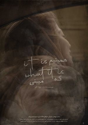 it is what it is's poster