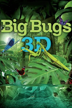 Big Bugs's poster