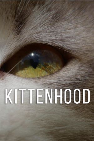 Kittenhood's poster