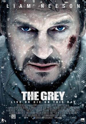 The Grey's poster
