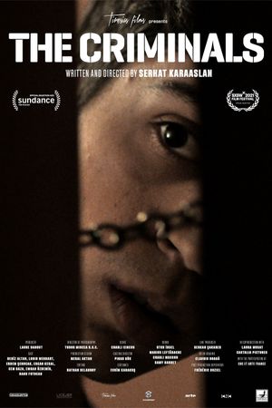 The Criminals's poster