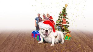 A Bulldog for Christmas's poster
