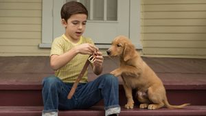 A Dog's Purpose's poster