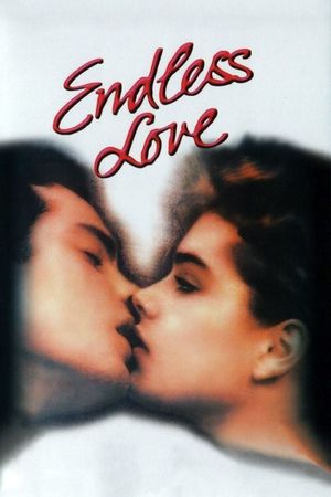 Endless Love's poster