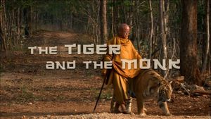 The Tiger and the Monk's poster