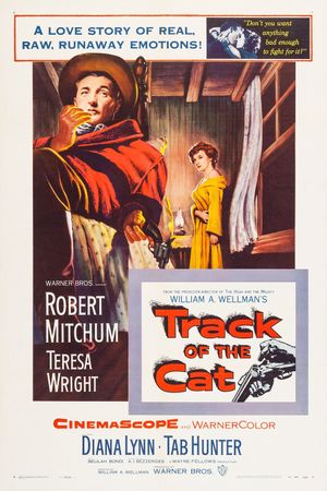 Track of the Cat's poster