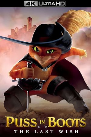 Puss in Boots: The Last Wish's poster