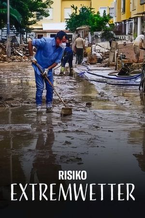 Risiko Extremwetter: Gewitter, Hagel und Starkregen's poster