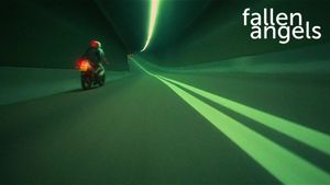 Fallen Angels's poster