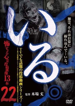 「Iru.」~ Kowasugiru Tōkō Eizō 13-hon ~ Vol.22's poster