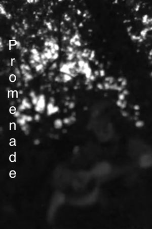 Promenade's poster