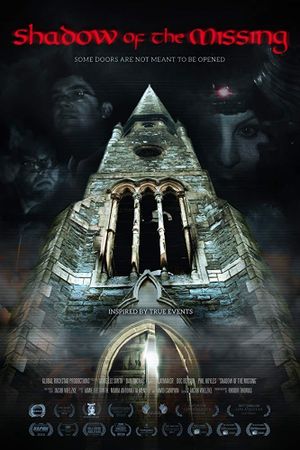 Shadow of the Missing's poster image