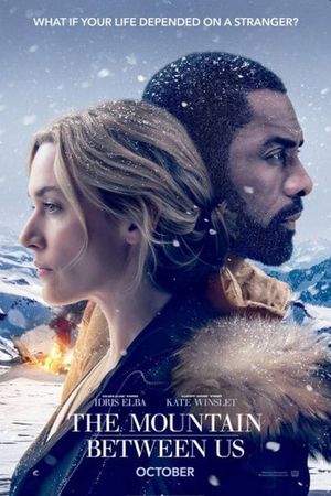 The Mountain Between Us's poster