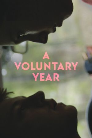 A Voluntary Year's poster