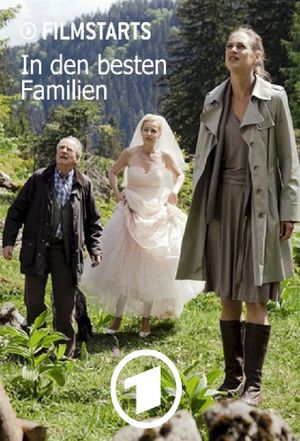 In den besten Familien's poster