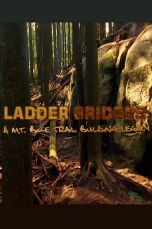 Ladder Bridges's poster image