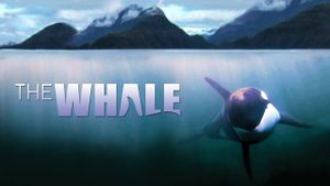 The Whale's poster
