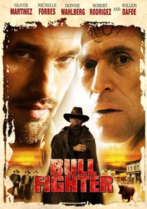 Bullfighter's poster
