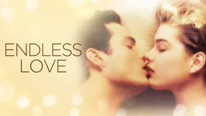Endless Love's poster