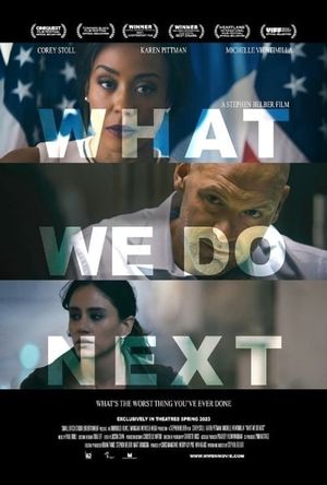 What We Do Next's poster