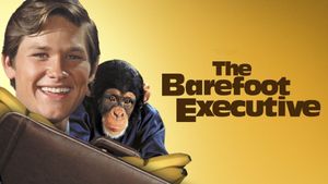 The Barefoot Executive's poster