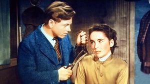National Velvet's poster
