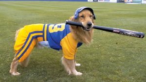 Air Bud: Seventh Inning Fetch's poster