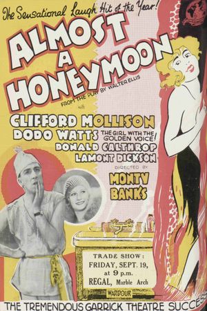 Almost a Honeymoon's poster