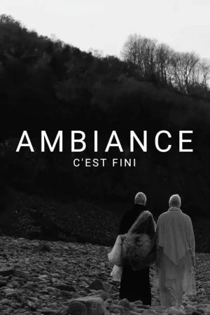 Ambiancé's poster